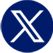 X Icon